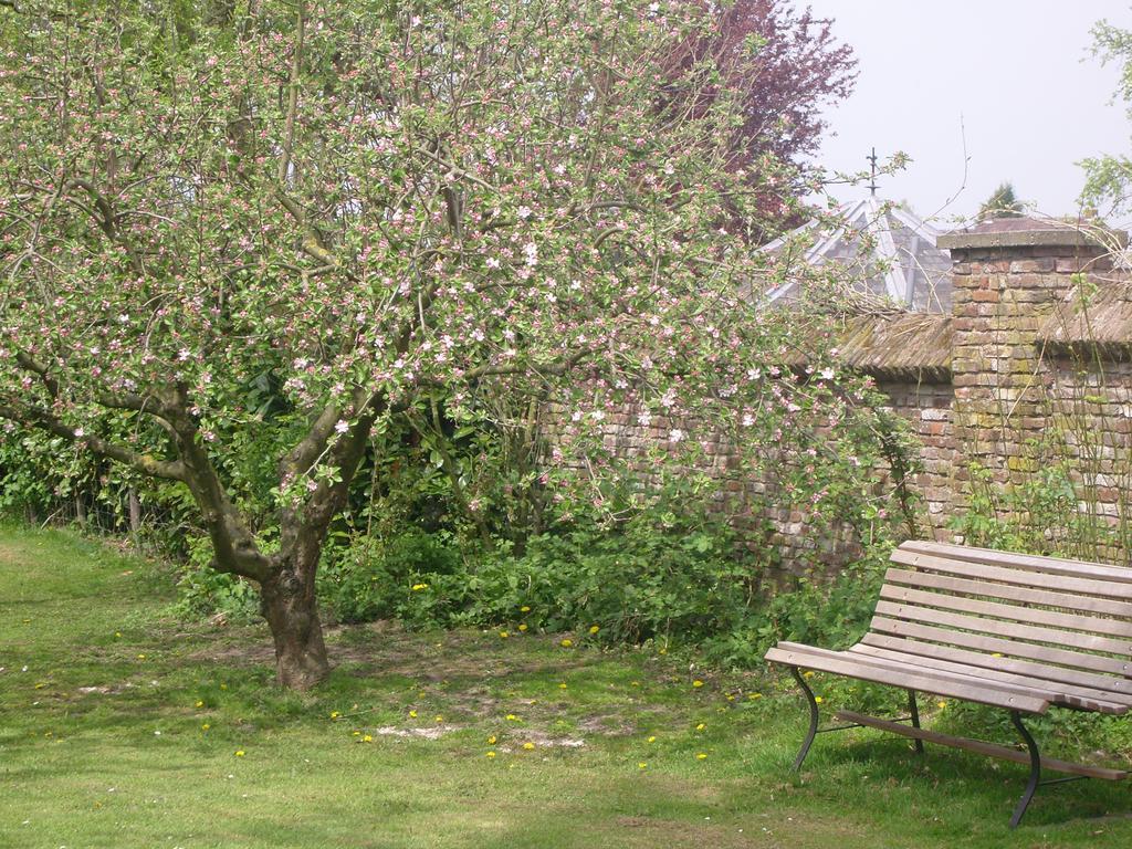 Bed & Breakfast Appeltern Eksteriør bilde